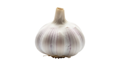 Fresh garlic bulb isolated PNG on transparent background, healthy cooking ingredient for culinary use and flavoring dishes