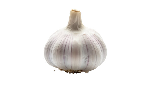 Fresh garlic bulb isolated PNG on transparent background, healthy cooking ingredient for culinary use and flavoring dishes