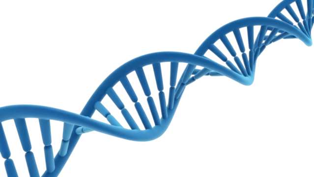 Blue DNA molecule isolated PNG, double helix structure for science, medicine, and genetic research on transparent background - Powered by Adobe
