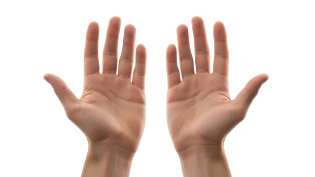 Two open human hands isolated PNG on transparent background, gesture of giving or receiving, concept of help and support, skin texture and detail - Powered by Adobe