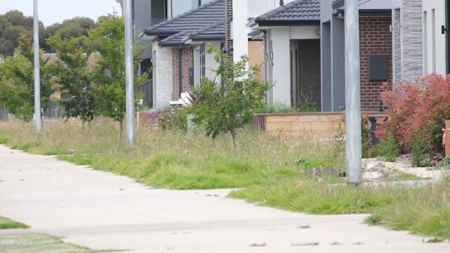 Overgrown weeds and tall grass line the footpath and nature strip in a modern residential street in Tarneit, Melbourne, Australia. The untended verge contrasts with newly built suburban houses.
