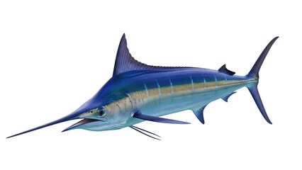 Blue marlin PNG isolated on transparent background, majestic sea predator with distinctive...