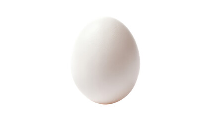Single white chicken egg isolated