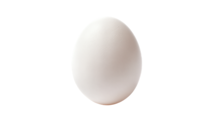 Single white chicken egg isolated