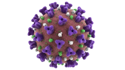 Detailed coronavirus virion PNG isolated, a microscopic view of COVID-19 with spike proteins and viral envelope for medical visualizations