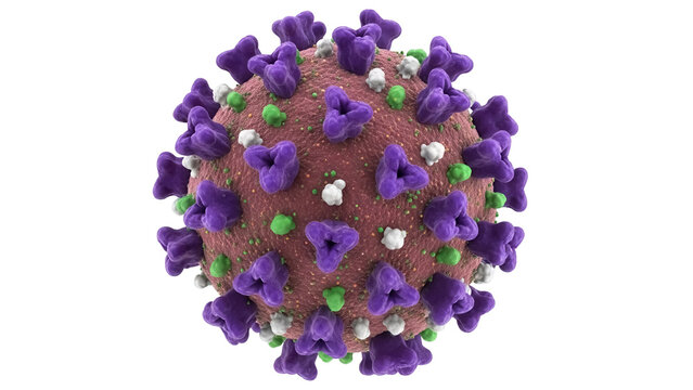 Detailed coronavirus virion PNG isolated, a microscopic view of COVID-19 with spike proteins and viral envelope for medical visualizations