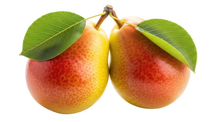 Two ripe pears with leaves isolated on transparent background PNG, fresh yellow and red fruits for healthy eating and gourmet food