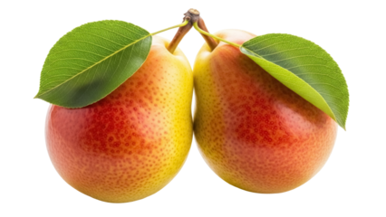 Two ripe pears with leaves isolated on transparent background PNG, fresh yellow and red fruits for healthy eating and gourmet food