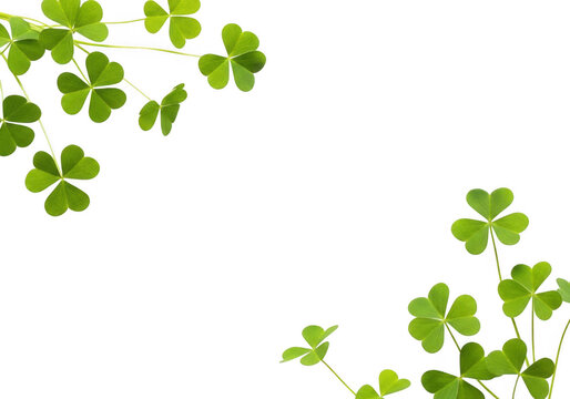 Vibrant green clover leaves framing the corners of a clean transparent background, symbolizing luck and nature in a simple, fresh composition isolated on transparent background
