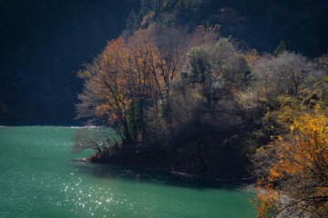 ダム湖に写る晩秋の景観
