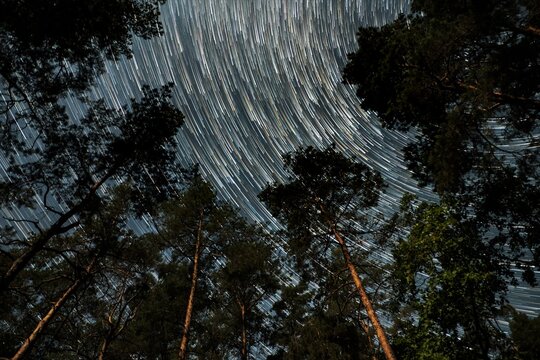 Glowing star trails swirl around the night sky above a tranquil forest filled with tall trees under the dark atmosphere, creating a magical celestial display. - Powered by Adobe