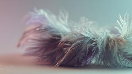 Obraz premium soft pastel-colored feathers laid on a surface Concept Pastel Feather Flat Lay, Soft Pastel Palette, Delicate Feather Texture, Subtle Surface Arrangement, Gentle Light Shadows