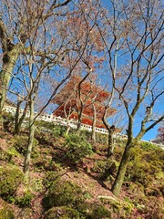 Temple of autumn in the mountains 
