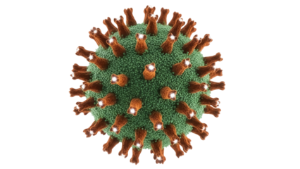 Detailed coronavirus model PNG isolated on transparent background, realistic 3D rendering of COVID-19 virus with spikes for medical and educational use