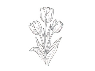 Obraz premium Beautiful tulip flowers illustration isolated on transparent background