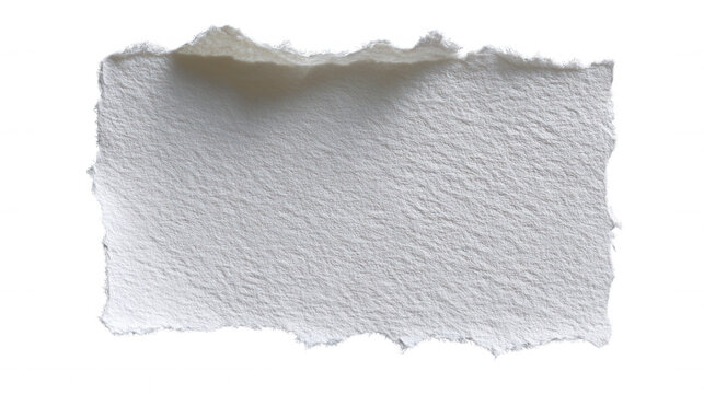 Ripped white paper strip texture and torn edges with copy space transparent on alpha background