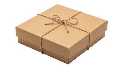 Isolated cardboard gift box with string bow for special occasion present wrapping design