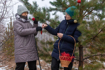 Elderly woman and young woman decorating evergreen tree outdoor in winter forest. Christmas family holiday and nature friendly celebration concept.