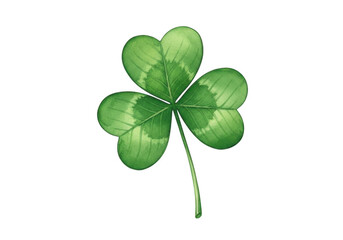 A vibrant green four leaf clover isolated on white background for st patricks day