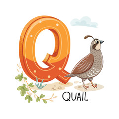 penguin, bird, arctic, antarctic, snow, ice, flightless