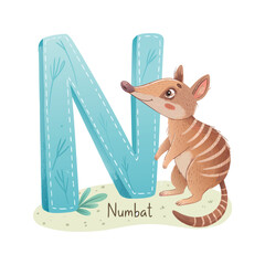 Numbat Animal Illustration with Letter N Alphabet