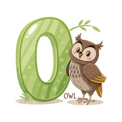 Wise Owl Character with Letter O Alphabet