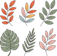 Modern Botanical Leaf Illustration Mixed Set