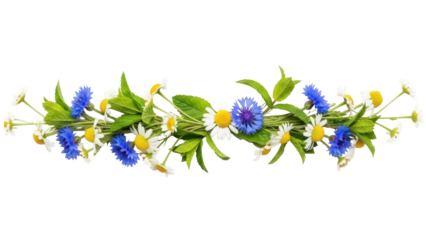 Isolated garland of daisy and cornflower on stems, light and cheerful floral decoration
