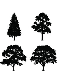 Four black tree silhouettes including pine and oak for nature landscape design