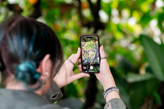 young woman taking a photo on her phone