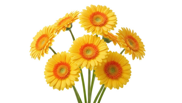 Cheerful yellow gerbera daisy bouquet isolated PNG on transparent background, vibrant floral arrangement for spring and summer designs