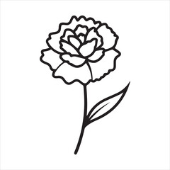 carnation line art vector illustration black and white