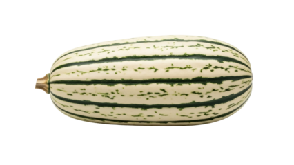 Isolated delicata squash, fresh vegetable for autumn harvest or holiday cooking, raw food