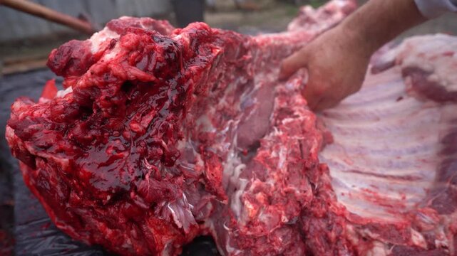 butcher cutting pork meat traditionally. 4k video.