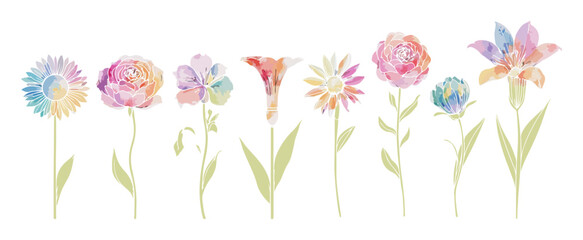 Flower Set Abstract Art Drawing. Hand Drawn Floral Plant Vector Illustrations Collection. Colorful Graphic Simple Spring Flowers Art Drawing. Botanical Doodle Brush Stroke Design