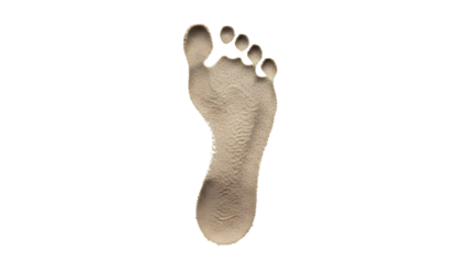 Detailed 3 D Rendered Human Footprint with Textured Surface and Toes Visible isolated on a transparent background