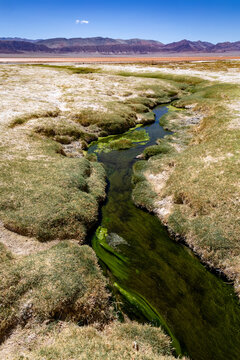 Creek flows through grassland near salt lake in El Penon Andes Argentina