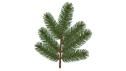 Obraz premium Fresh green pine branch with detailed needles and brown stem isolated on a transparent background green needles