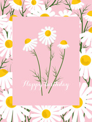 Floral summer background. White daisies with green leaves in a frame on a pink background. Vector illustration. Vertical greeting card with the text "Happy Birthday." Rectangular sale banner.