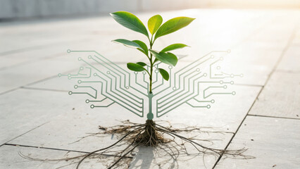 Bio renewable lab innovation. small plant with roots is growing through concrete surface, symbolizing fusion of nature and technology