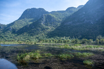 Fototapeta premium A national park in the swamps for birdwatching in the Hua Hin area of ​​Thailand.