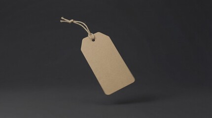 Blank hanging price tag symbolizing pricing, retail and product labeling concept

