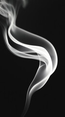 Abstract white smoke swirling elegantly against a deep black background, creating a mysterious and ethereal visual effect.
