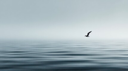 Naklejka premium minimalist seascape featuring a lone seabird gliding above smooth silver waters pale morning mist sky
