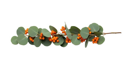 Isolated garland of eucalyptus with orange berries for decoration, autumn holiday season