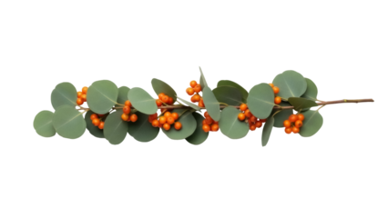 Isolated garland of eucalyptus with orange berries for decoration, autumn holiday season