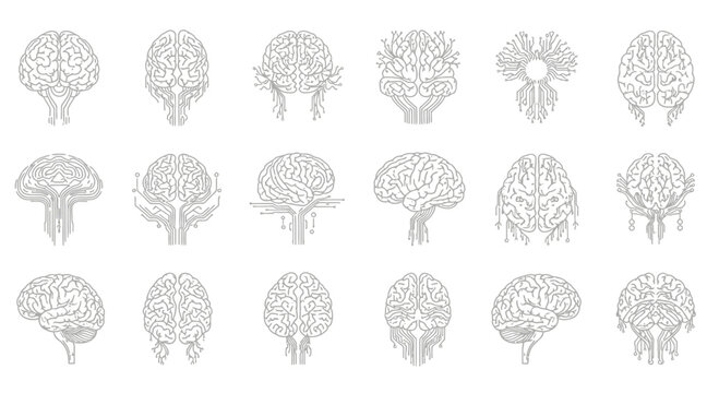 Collection of detailed brain illustrations