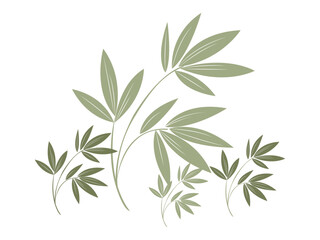 Minimal Botanical Leaf Branch Illustration: Hand-Drawn Foliage Vector