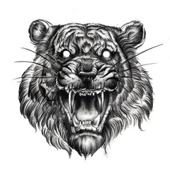 Hand-drawn pencil sketch of a roaring tiger head. High-quality graphic scan, aggressive wildlife illustration for tattoo ideas, art prints, and t-shirt designs. Detailed manual artwork.