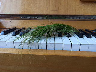old abandoned piano close up
